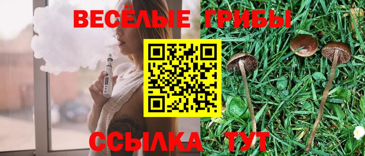Галлюциногенные грибы Magic Shrooms  Галлюциногенные грибы Cubensis  Тутаев  Вход с VPN 